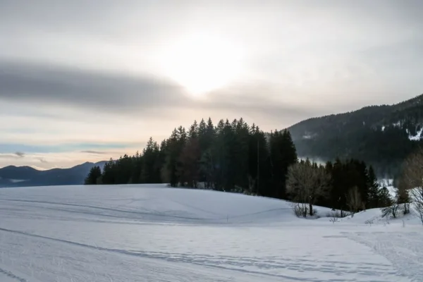 Captivating winter landscape in Autrans-Méaudre-en-Vercors with snowy trees at sunset.