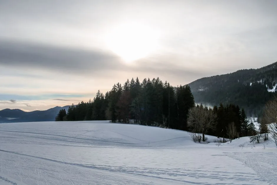 Captivating winter landscape in Autrans-Méaudre-en-Vercors with snowy trees at sunset.